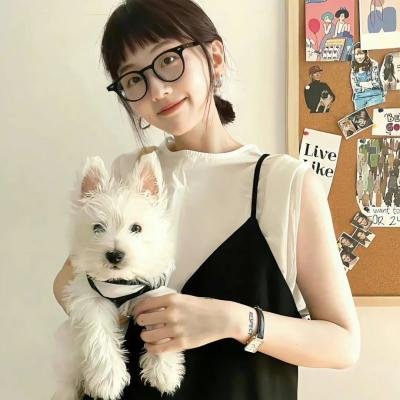 宝窗选婿